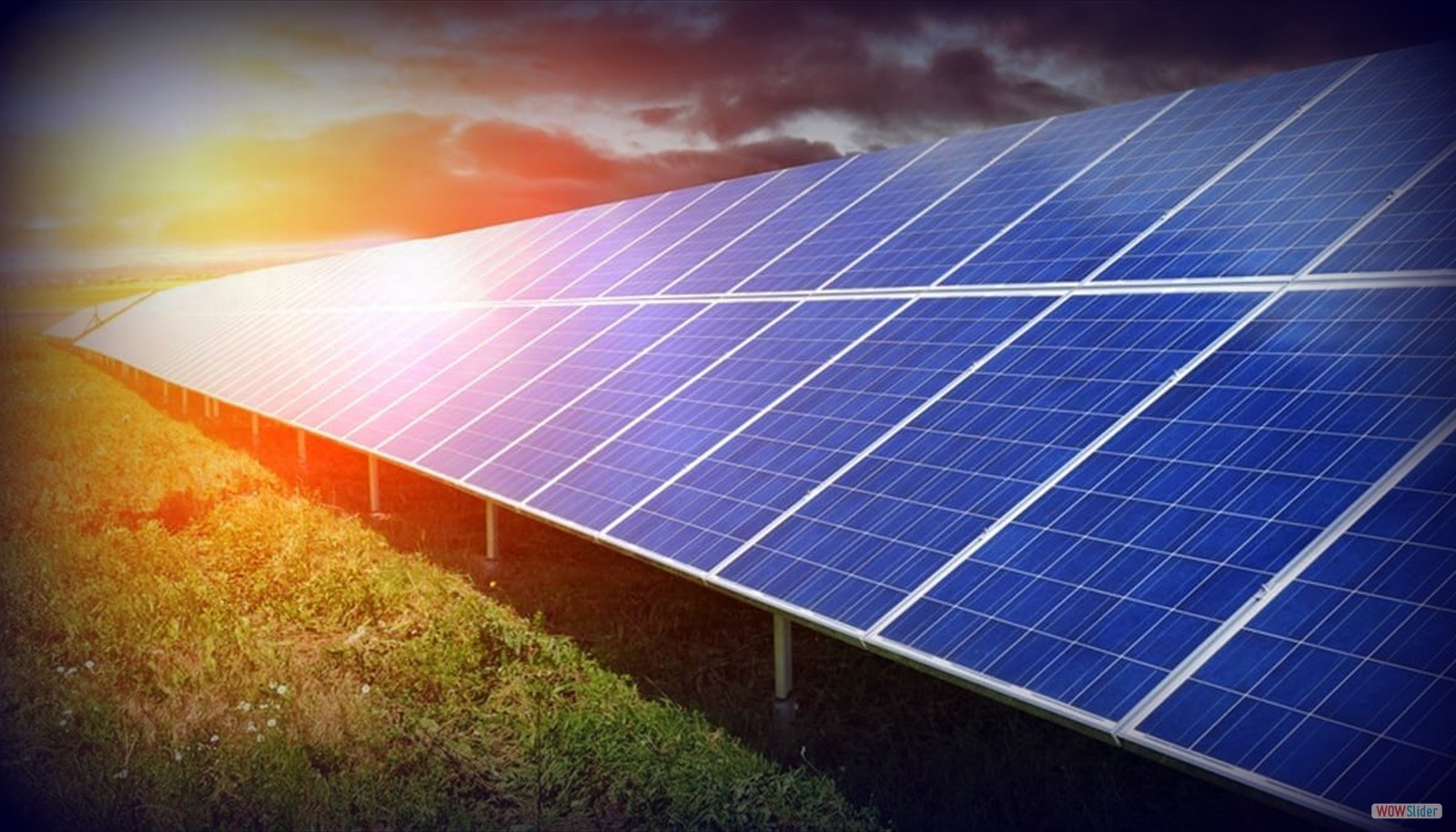 We Believe Solar Energy is The Solution